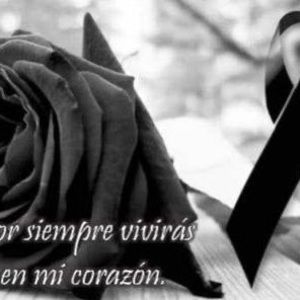 Meet your Posher, Mayta